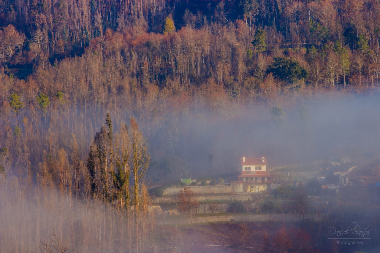 Uma casa entre neblina e floresta, Daniel Santos